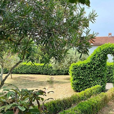 Valica Gardens Villa Savudrija Eksteriør bilde